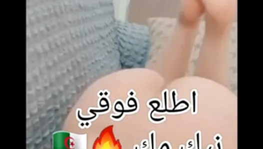 nikni malor 9a7baa Cezayirli hayjaaa t7awass 3la zab