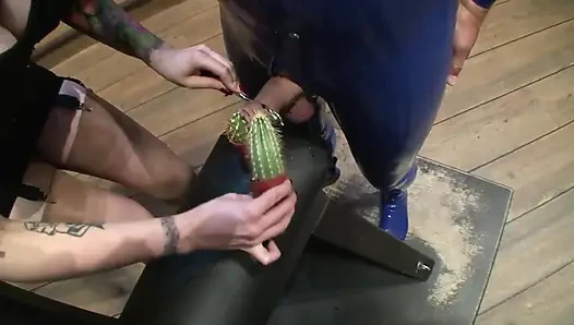 2 Erkek Seks Kölesi Kaktüs ve Dikenli Oyuncaklar ile Domina